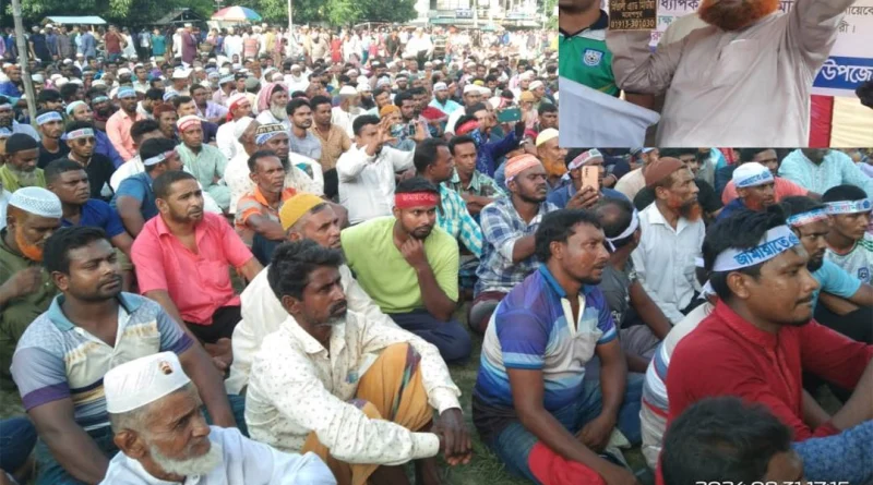 মহেশপুরে জামায়াত ইসলামীর উদ্যোগে গণ সমাবেশ অনুষ্ঠিত