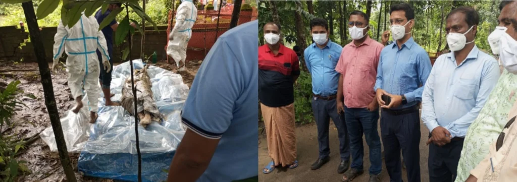 আলোচিত মিলন হত্যা, ১ মাস ২০ দিন পর পটুয়াখালী থেকে লাশ উত্তোলন!