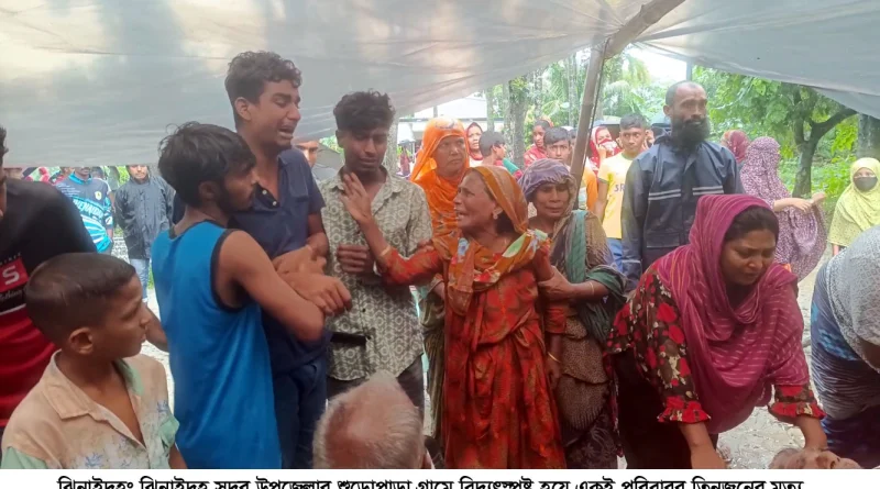 ঝিনাইদহ সদর উপজেলায় বিদ্যুৎস্পৃষ্ট হয়ে একই পরিবারের ৩ জনের মৃত্যু