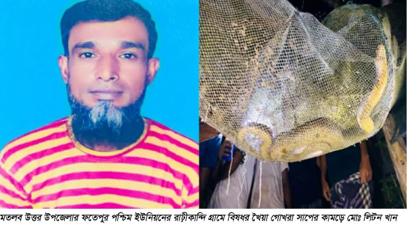 মতলব উত্তরে গোখরা সাপের কামড়ে কৃষকের মৃত্যু