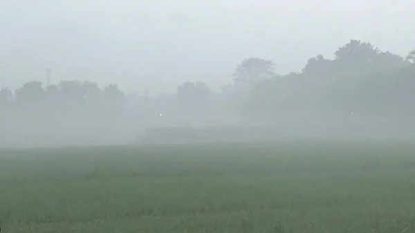 তেঁতুলিয়ায় অব্যাহত রয়েছে মৃদু শৈতপ্রবাহ