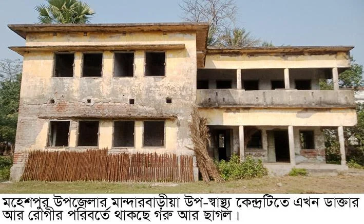 মহেশপুরে সরকারি খাতায় চালু স্বাস্থ্যকেন্দ্র,বাস্তবে গোয়াল ঘড়