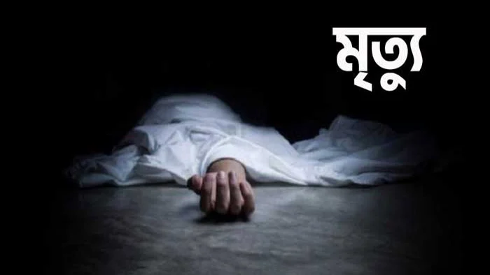 সোনারগাঁয়ে বিদ্যুৎ স্পৃষ্টে পরিবহন শ্রমিকের মৃত্যু