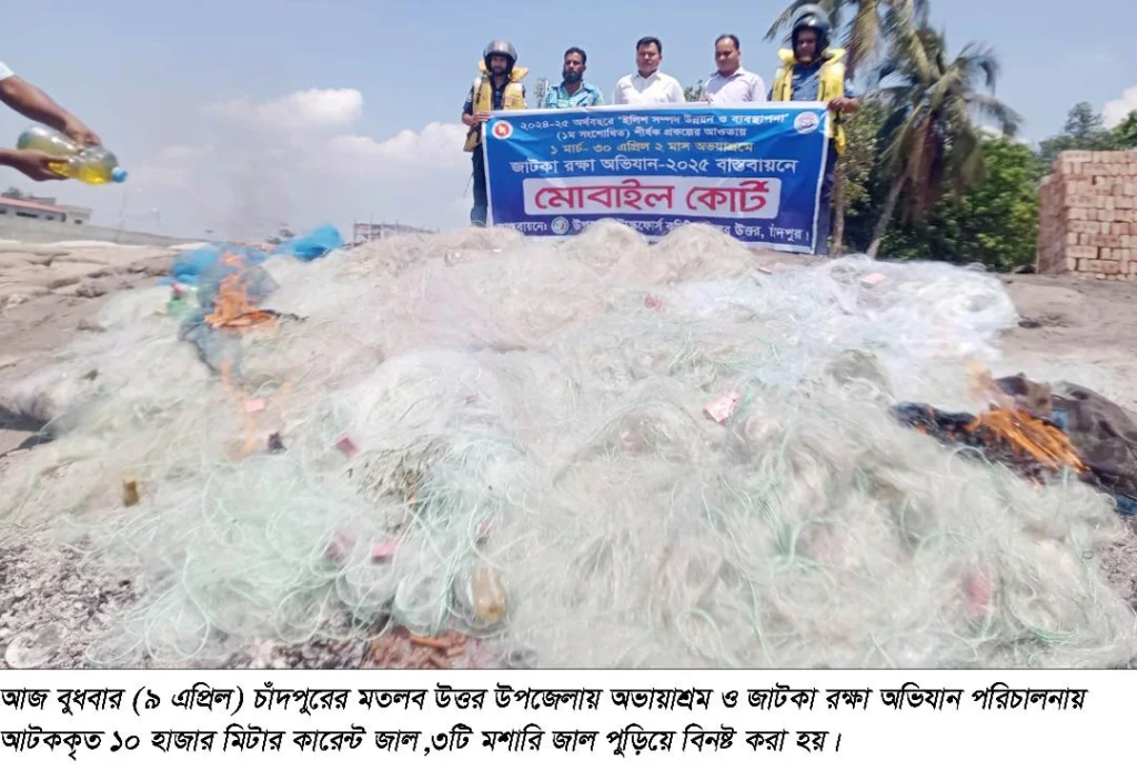 মতলব উত্তরে জাটকা রক্ষা অভিযানে ১০ হাজার মিটার কারেন্ট জালসহ নৌকা আটক
