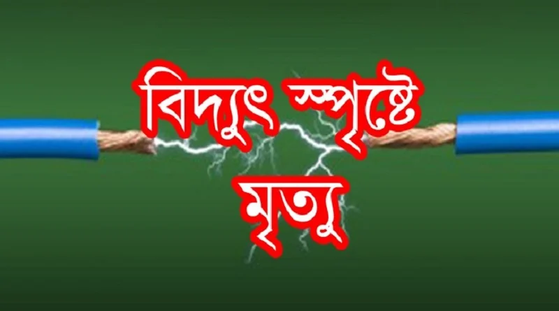 ঘূর্ণিঝড়ে ছিঁড়ে যাওয়া বৈদ্যুতিক তারে স্পৃষ্ট হয়ে গৃহবধূর মৃত্যু