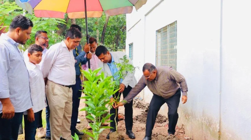 না’গঞ্জ কলেজে ছাদ বাগানের উদ্বোধন করলেন জেলা প্রশাসক