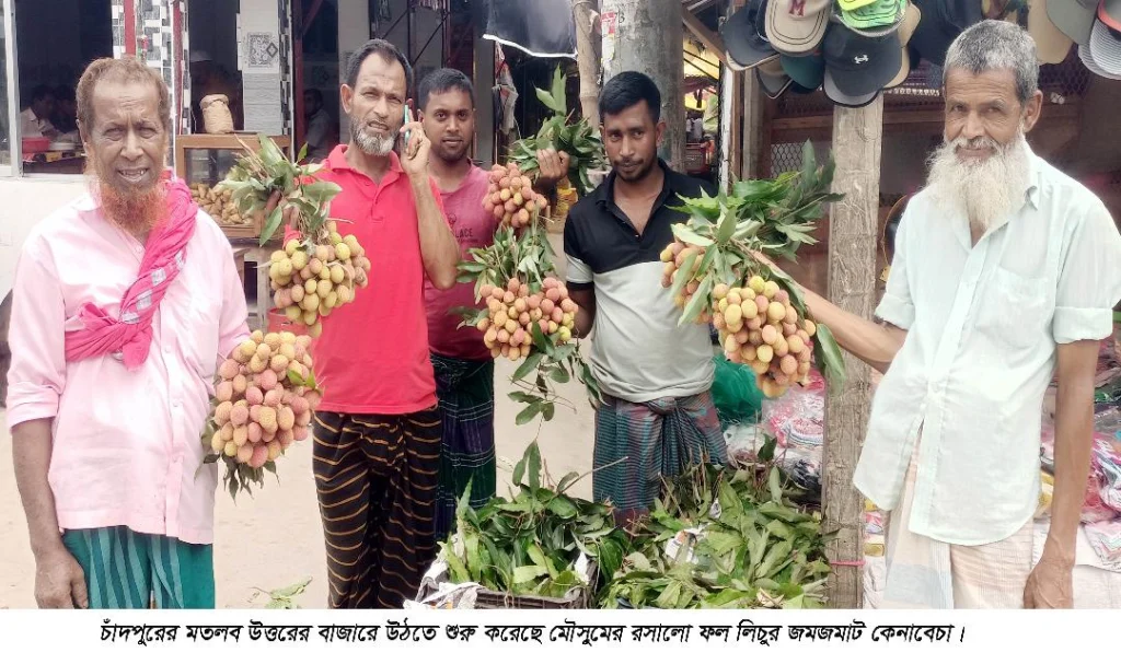 জমে উঠেছে মতলব উত্তরে জমজমাট লিচু কেনাবেচা
