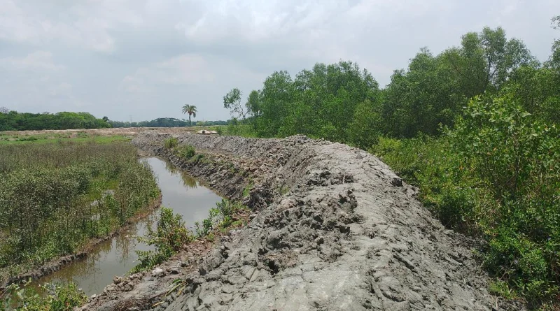 তালতলীতে বনাঞ্চল উজাড় করে মাছের ঘের