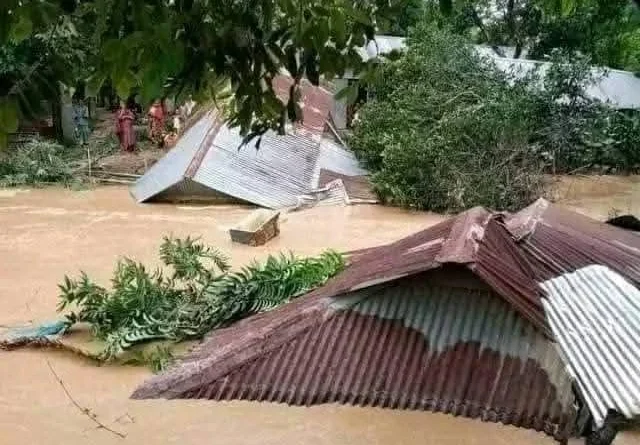 ভোলায় উপকূলীয় এলাকার গ্রামের পর গ্রাম পানির নিচে-তলিয়ে ভেসে গেছে ঘরবাড়ি গরু ছাগল