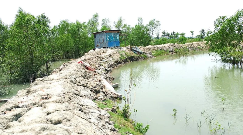 তালতলীতে বনাঞ্চল দখল করে মৎস্য ঘের নির্মাণের মহোৎসব