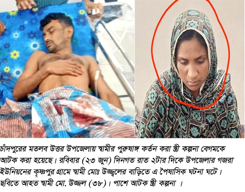 মতলব উত্তরে স্বামীর পুরুষাঙ্গ কর্তন করা স্ত্রী কল্পনা আটক