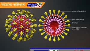 দেশে গত ২৪ ঘণ্টায় আরও ১৫ জনের করোনাভাইরাস শনাক্ত : স্বাস্থ্য অধিদপ্তর