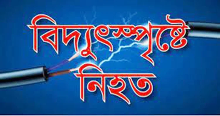 ধান ক্ষেতে পানি দিতে গিয়ে বিদ্যুৎপৃষ্টে কৃষকের মৃত্যু