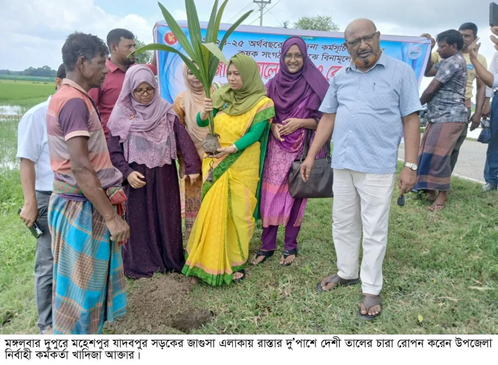 মহেশপুর যাদবপুর সড়কের দু’ধারে তালের চারা রোপন