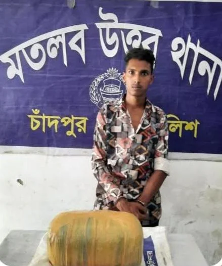 মতলব উত্তরে ৬ কেজি গাঁজাসহ মাদক বিক্রেতা গ্রেফতার