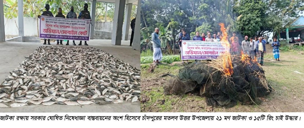 মতলব উত্তর উপজেলায় ২১ মণ জাটকা ও ১৫টি রিং চাই উদ্ধার