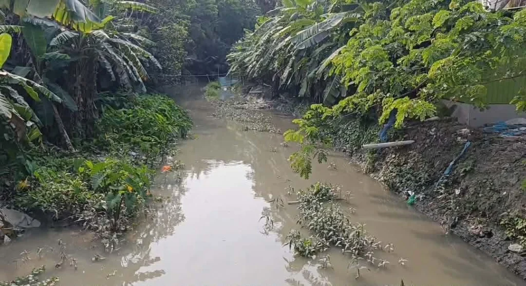 তালতলীতে অস্তিত্ব সংকটে ৭১ খাল, বিপাকে কৃষক