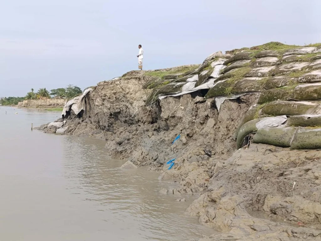 তালতলীতে বেড়িবাঁধে ভয়াবহ ফাটল, ঝুঁকিতে ১৫ গ্রামের মানুষ