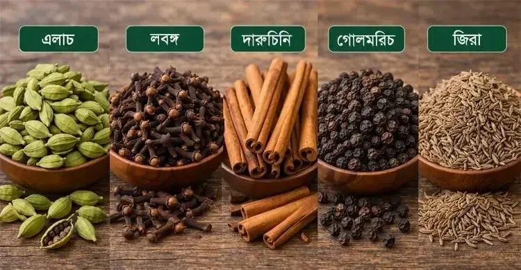 চোরাই মসলায় সয়লাব খাতুনগঞ্জের বাজার, রাজস্ব হারাচ্ছে সরকার