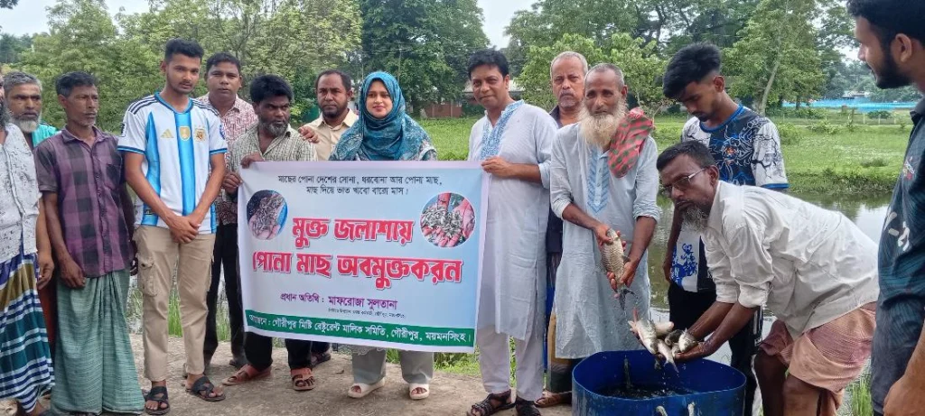 ময়মনসিংহের গৌরীপুরে মুক্ত জলাশয়ে পোনা মাছ অবমুক্তকরণ অনুষ্ঠিত