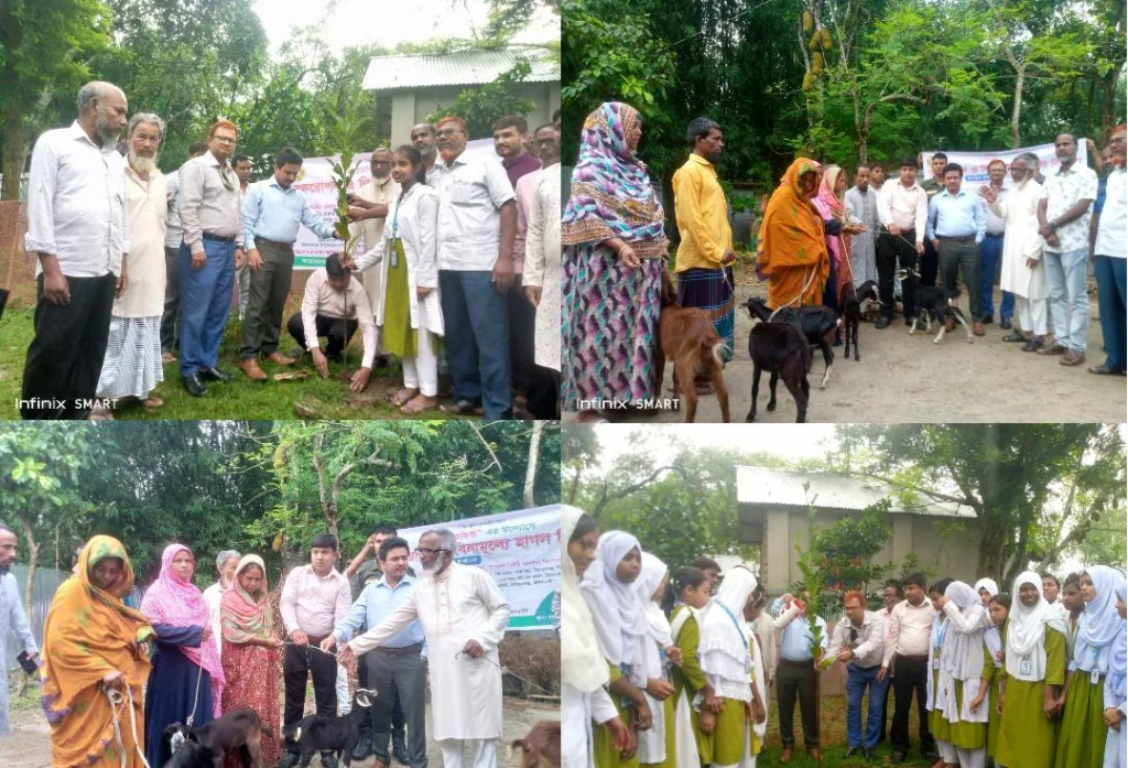 কিশোরগঞ্জ উপজেলায় মন্ডলবাড়ীর সৌজন্যে বৃক্ষরোপণ ও বিনামূল্যে ছাগল বিতরণ