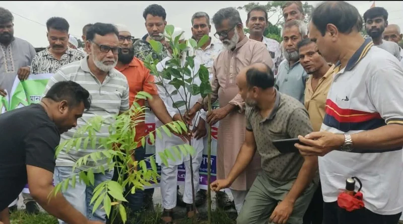 নাসিকে খোরশেদের নেতৃত্বে সাবেক যুবদল নেতাকর্মীদের বৃক্ষ রোপন কর্মসূচি অব্যাহত